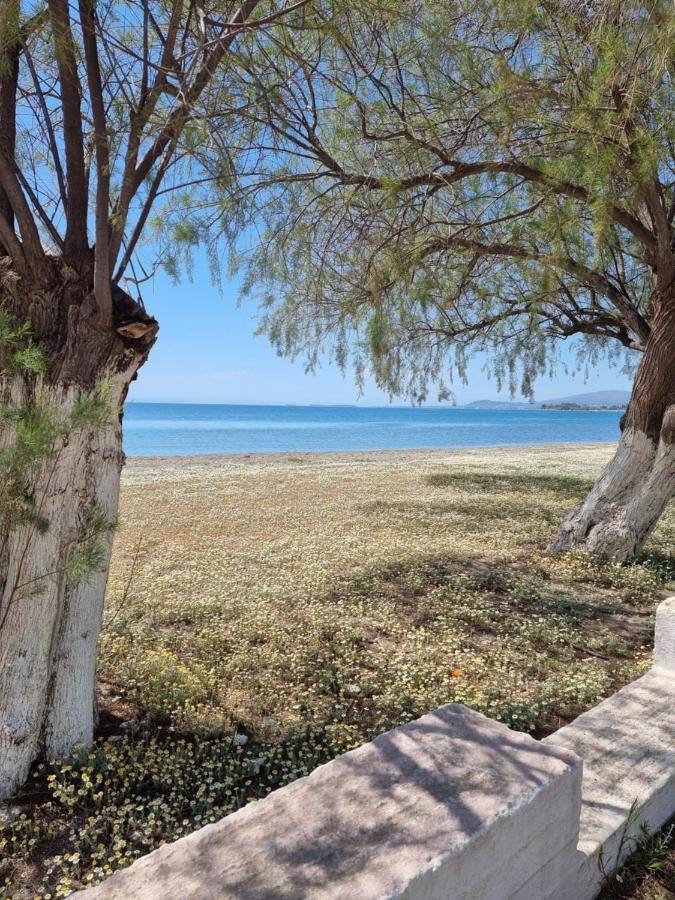 To Kyma Aparthotel Αμάρυνθος Εξωτερικό φωτογραφία